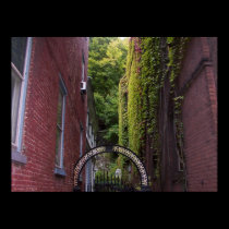 Ivy in the Alley posters