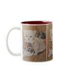 Ivy, Iris & Dixie Painting mugs