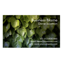 Ivy Leaves Business Cards