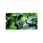 Ivy Leaves Custom Address Label