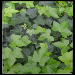 Ivy Print Napkins