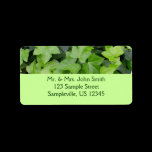 Ivy Return Address Label