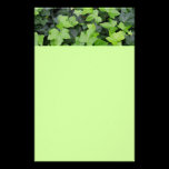 Ivy Stationery