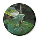 Ivy Vine 10 Refrigerator Magnets