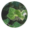 Ivy Vine 5 stickers by LivingNature Ivy Vine 5 stickers