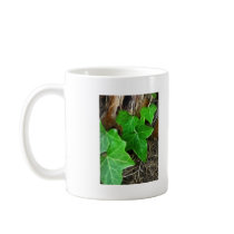 Ivy Vine on Palm Tree 5 Coffee Mugs