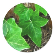 Ivy Vine on Palm Tree 5 stickers
