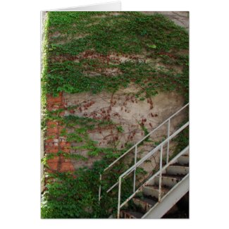 Ivy Vines, Stairs, Brick Wall card