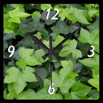 Ivy Wall Clock wall clocks