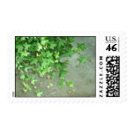 ivy (You can customize) Postage Stamps