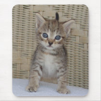 Ivy's Mousepad by GrumpyKittenGraphics Ivy's Mousepad