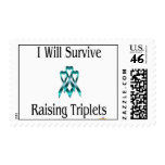 IWillSurviveRaisingTripletsBoyBoyBoy Postage Stamp