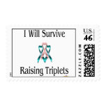 IWillSurviveRaisingTripletsBoyGirlBoy Stamps