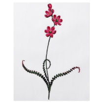 Ixia Crispa flyers