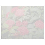 Ixora 'Trinidad Red' (Flame Of The Woods) flowers Letterhead Design