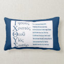 IXOYE Acronym - Blue Pillow
