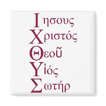 IXOYE Acronym - Red Fridge Magnet