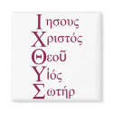IXOYE Acrostic - Red zazzle_magnet
