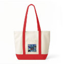 IYA2009 - US Node: Bag