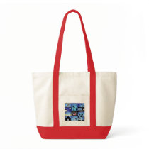 IYA2009 - US Node: Bag