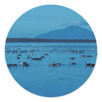 Izembek Lagoon and Amak Island Stickers