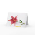 J0175428, Just smell the power of love cards by singh_ajit05 J0175428, Just smell the power of love cards