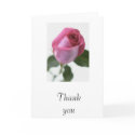 j0390509, Thank you cards
