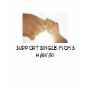 j0408981, SUPPORT SINGLE MOMS HAWAII t-shirts
