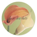 j0427843, Save The Date stickers by jmmccain j0427843, Save The Date stickers