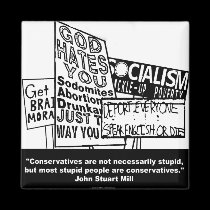 J.S. Mill on Conservatism magnets