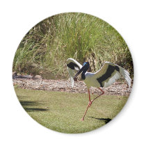 Jabau Northern Territory Bird magnets by sharonsphotography Jabau Northern Territory Bird magnets