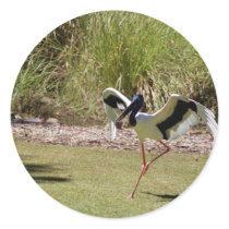 Jabau Northern Territory Bird stickers