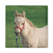 Jac Fridge Magnet