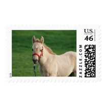Jac Postage Stamps