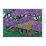 jacaranda house cards