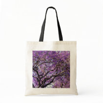 Jacaranda tree in spring bloom flowers bags