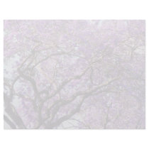 Jacaranda tree in spring bloom flowers letterhead template