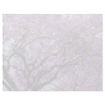 Jacaranda tree in spring bloom flowers letterhead template