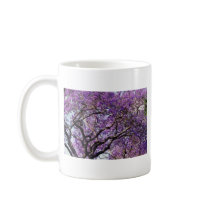 Jacaranda tree in spring bloom flowers coffee mug