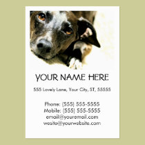 Jack  Business Card business cards