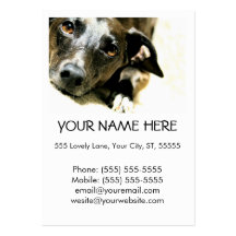 Jack  Business Card