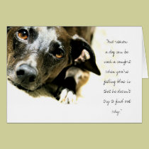 Jack Card cards