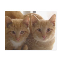 Jack & Colby postcards