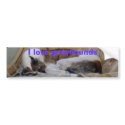 Jack copy bumper stickers