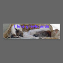 Jack copy bumper stickers