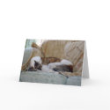 Jack copy cards by Moondial Jack copy cards