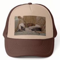 Jack copy hats