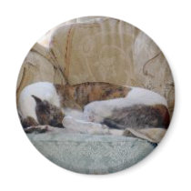 Jack copy magnets by Moondial Jack copy magnets
