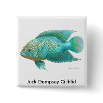 Jack Dempsey Cichlid Pin buttons