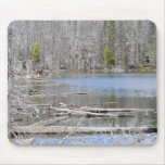 Jack Lake